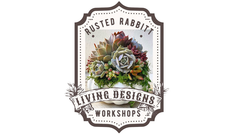The Rusted Rabbitt The Rusted Rabbitt