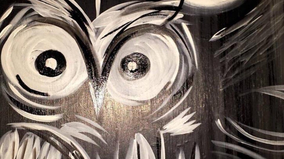 Paint this owl Paint this owl