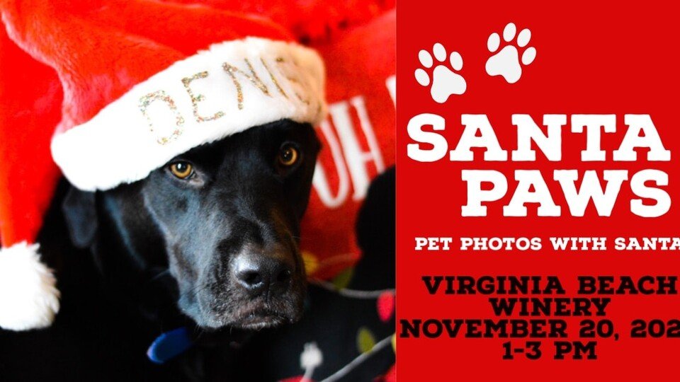 Santa Paws Santa Paws