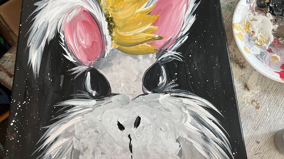 Bunny! Bunny!