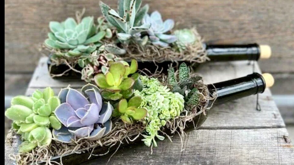 Wine Bottle Arrangement Workshop - June 1, 2025